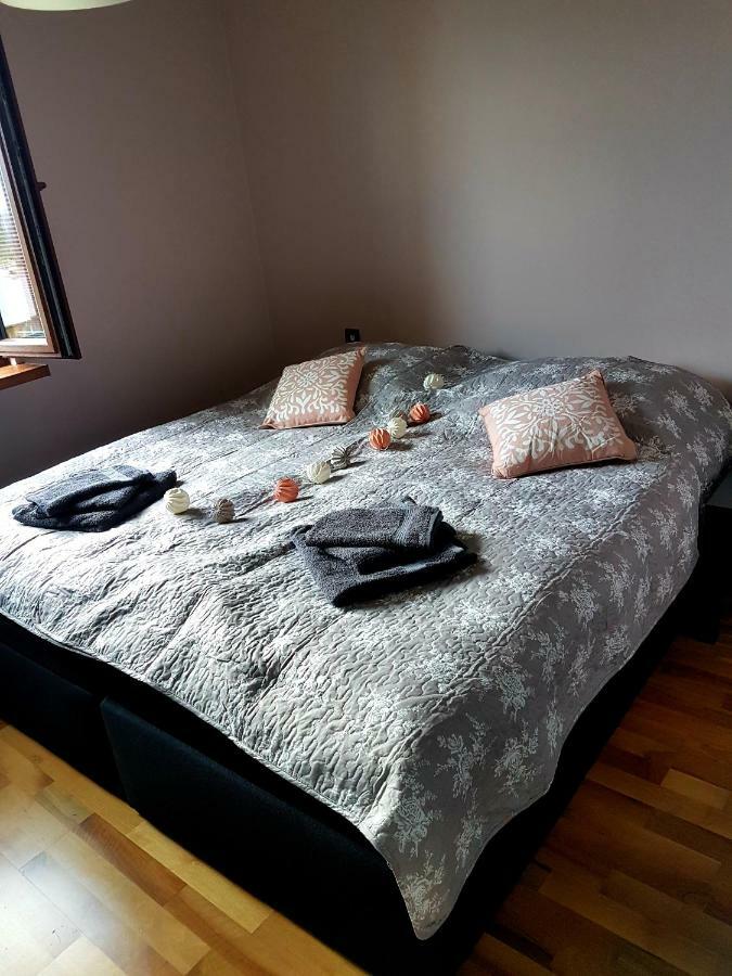 Sloneczny Lägenhet Kielce Exteriör bild